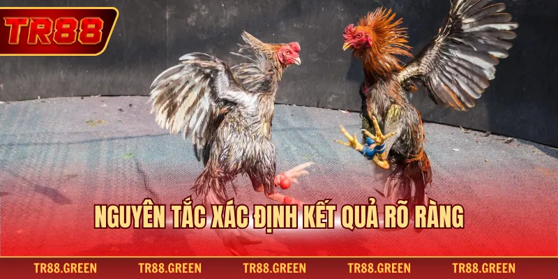 Nguyên tắc xác định kết quả rõ ràng