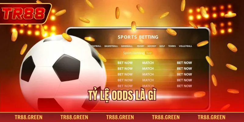 Tỷ Lệ Odds Là Gì - Giải Thích Chi Tiết Cho Người Mới Bắt Đầu